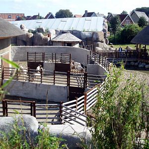 Aalborg Zoo - African Village