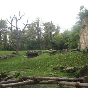 Hannover Zoo - Gorilla mountain