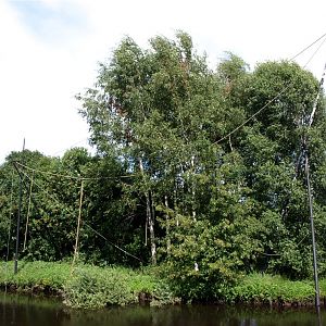 Ree Park - Gibbon island