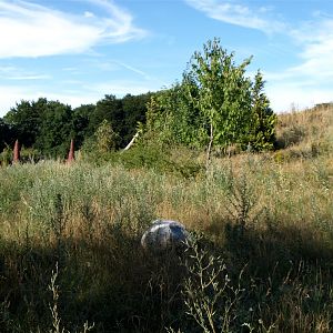 Ree Park - Cheetah enclosure