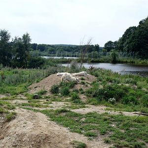 Ree Park - Bear Lake