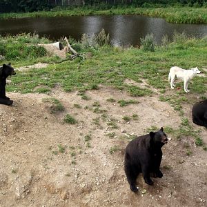 Ree Park - Bear Lake