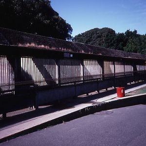 Bear and Hyena Cages, 1987