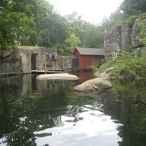Skansen - Seal exhibit