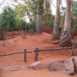 Macropod Enclosure