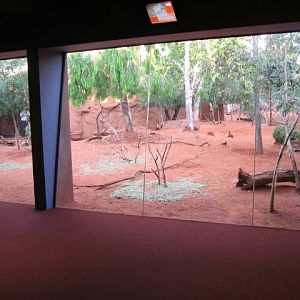Macropod Enclosure