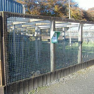 Black Isle Wildlife Park November 2008