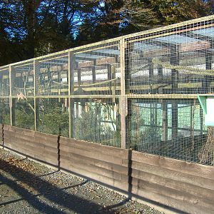 Black Isle Wildlife Park November 2008