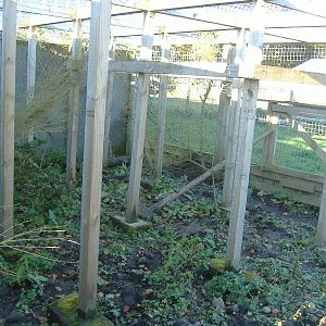 Black Isle Wildlife Park November 2008