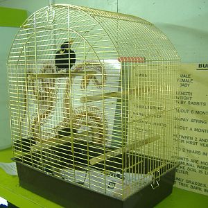 Black Isle Wildlife Park November 2008