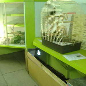 Black Isle Wildlife Park November 2008