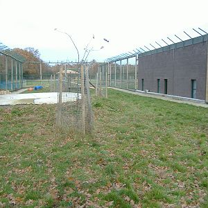 Wildlife Heritage Foundation