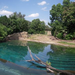Elephant Pool - Kilamanjaro Safari