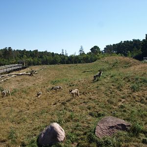 Scandinavian Wildlife Park - Wolf Park