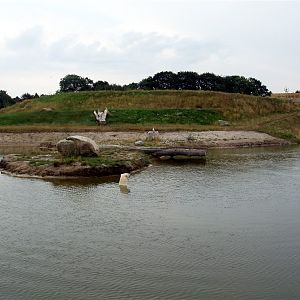 Scandinavian Wildlife Park - Polar Bear Park