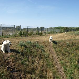 Scandinavian Wildlife Park -