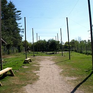 Scandinavian Wildlife Park - Aviary