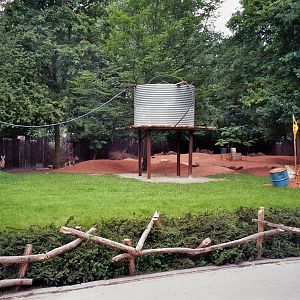 Australia Experience