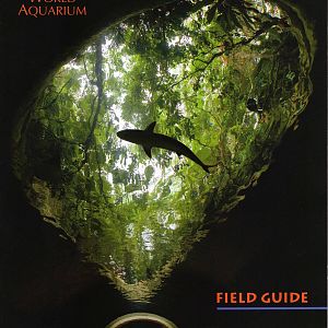Guidebook 2008