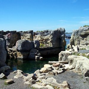 Zoo am Meer - Polar bear exhibit