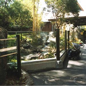 Pygmy otter exhibit