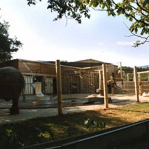 The entire elephant exhibit