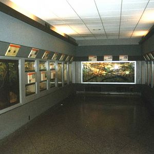 Inside the Reptile section