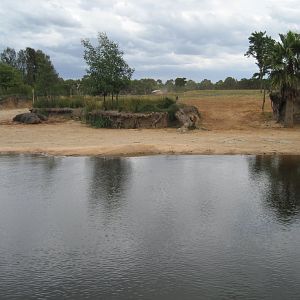 Hippo Exhibit