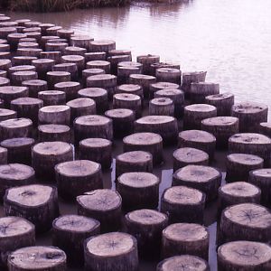 Public Bridge - 1984