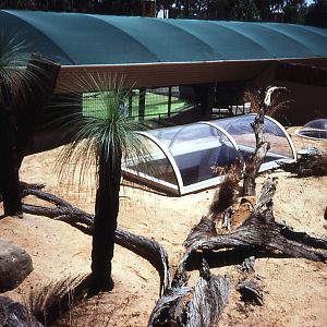 Goanna exhibit - Wonderland Zoo, 1990