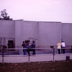 Great Ape exhibit - 1982