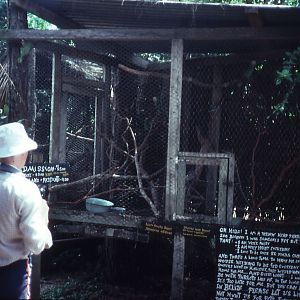 Amazon Parrot Cage - 1988