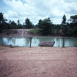 Morelets Crocodile pond