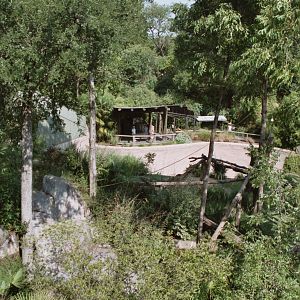 Chimpanze Exhibit