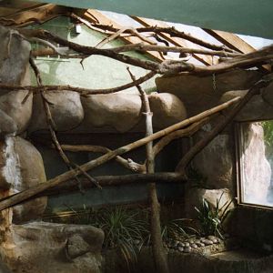 Sloth Exhibit