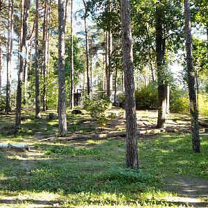 Coyote enclosure, Riga Zoo