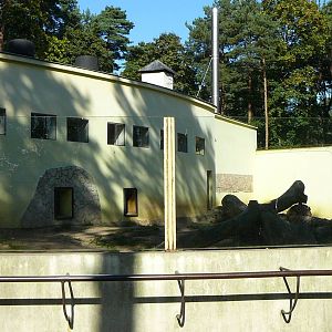 Angola lion enclosure