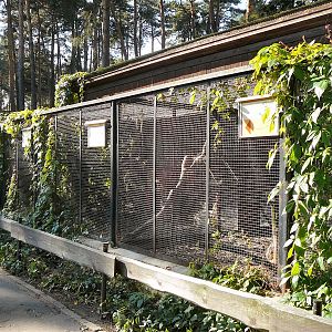 Small cat enclosures at Riga Zoo