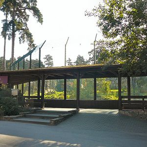 Tiger enclosure, Riga Zoo