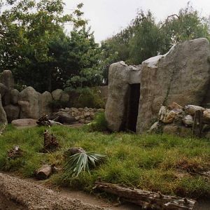 Giant Anteater Exhibit