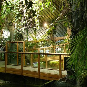 Walkway in new tropical house, Riga Zoo