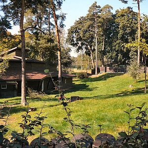 Wallaby enclosure, Riga Zoo