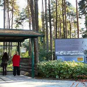 wolf enclosure, Riga Zoo