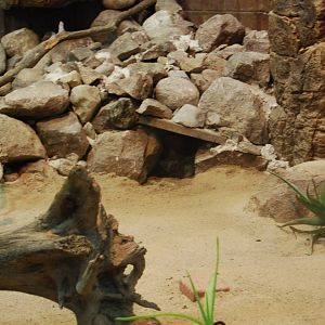 Sancat indoor exbith