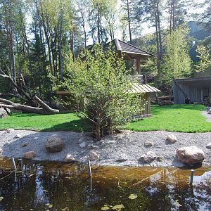 New gorilla island in Kolmården Zoo