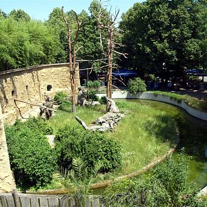Dresden Zoo - Mandrill enclosure
