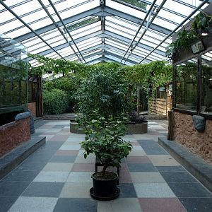 Dresden Zoo - Reptile house