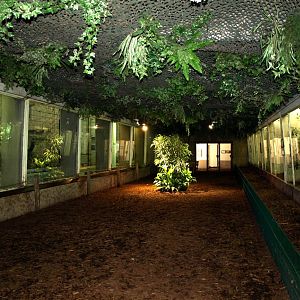 Dresden Zoo - Monkey House