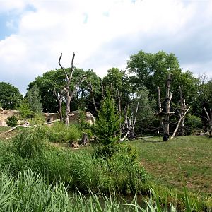 Pongoland - Chimpanzee enclosure