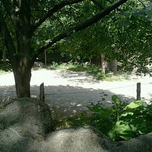 Jun. 2012-Second Indian Rhinoceros exhibit